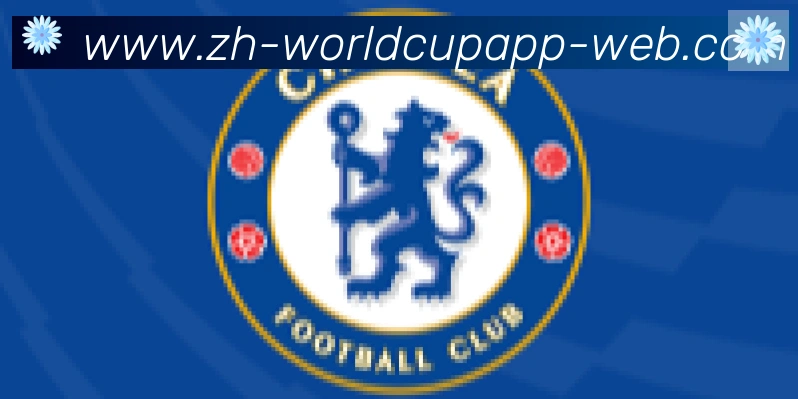世界杯APP下载合作伙伴